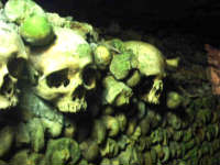 calaveras alineadas