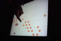 fluid juego de gamelab