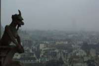 gargola en notredame