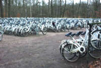 estacionamiento bicicletas blancas