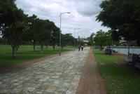 glebe point