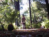 ChaTo en jardin botanico