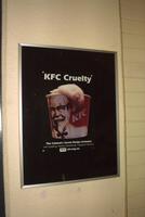 Kentucky fried chicken
