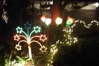 luces