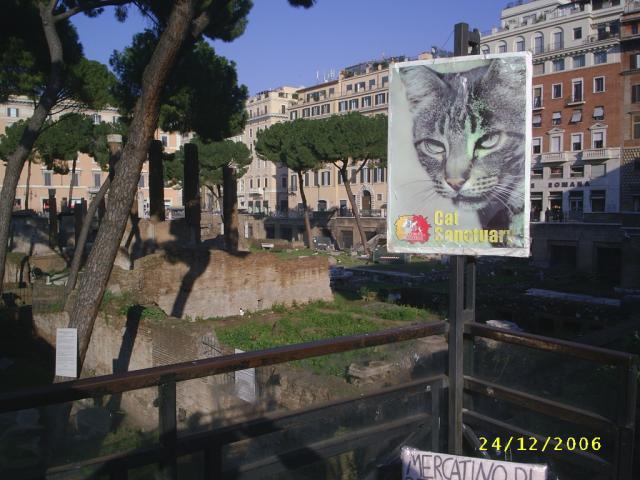 20051227_LargoArgentina.JPG.jpg