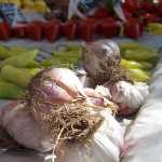 Ajo y aj�es

Garlic and chilis