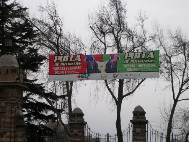 Una carrera importante de caballos que se llama "La Polla" ("polla" es una forma vulgar de llamar al pene en Espa�a)

An important horse race called "La Polla" ("polla" is a vulgar term for penis in Spain)