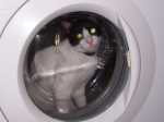Pascualito listo para viajar al espacio.Pascualito ready to travel to the outer space.
