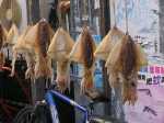 
Calamares.

Squids.
