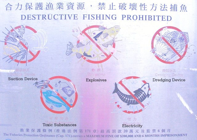 
Se prohibe la pesca destructiva: pesca por aspiraci�n, por explosi�n, por arrastre, por venenos (!) y por electricidad.

Destructive fishing is forbidden: fishing by aspiration, by explosion, by dragging, by poison (!) and by electricity.
