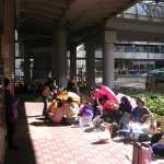 
Los filipinos son una de las comunidades con m�s emigrantes del mundo.

The filipino are one of the communities with more emmigrants in the world.
