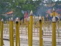 
Inciensos grandes.

Large incense sticks.
