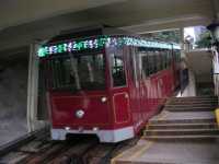 
El tranv�a.

The tram.
