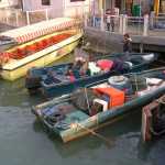 
Botes.

Boats.
