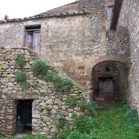 Vista posterior de la casa

Behind the house
