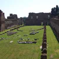 El hip�dromo del Palatino
An hippodrome in Palatino