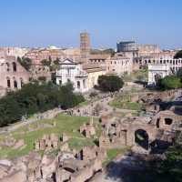 El Foro Romano visto desde el Palatino
The Roman Forum viewed from the Palatino