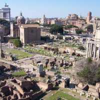 Otra vista del Foro Romano desde el Palatino
Another view of the Roman Forum from the Palatino