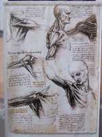 Un afiche sobre una exposici�n de dibujos de Leonardo da Vinci: "La sabidur�a es hija de la experiencia"

A poster about an exhibit of drawings of Leonardo da Vinci: "Wisdom is the daughter of experience"