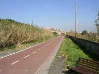 Una pista de bicicletas a lo largo del Tevere

A cycling path along the Tevere

