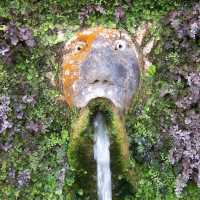 En general no me gustan las fuentes que tiran agua por la boca, pero esta ten�a unos colores incre�bles

In general I dislike the fountains that throw water out of their mouths, but this had incredible colors