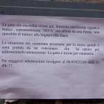Fabiola tuvo que llevar a un gato que estaba enfermo en la calle al veterinario, lamentablemente debieron eutanasiarla. Historia en blog de Fabiola. Dej� este papel en la pared en la calle para que los vecinos supieran qu� hab�a pasado.

Fabiola had to take a cat that was sick to the veterinary, unfortunately the cat had to be euthanized. She left a sign on the street so the neighbors know what happened with the cat.