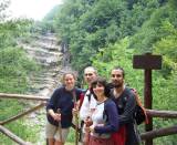 Highlight for Album: Foresta Casentinesi