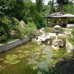 Jard�n japon�s

Japanese garden