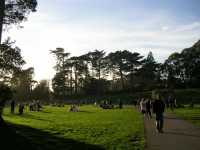 
El Parque Golden Gate
Golden Gate Park
