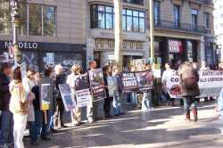 Manifestaci�n por los derechos animalesDemonstration for animal rights