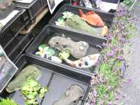 Cabezas de hipop�tamos y cocodrilos flotantes, el complemento perfecto para los gnomos cer�micos de jard�nFloating hippopotamus and crocodile heads, the perfect match for ceramic garden gnomes