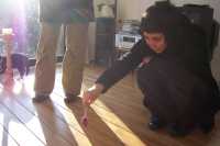 Fabiola atrayendo a un gato ...Fabiola luring a cat ...
