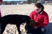 El cachorrito horrible encuentra un amigoThe horrible puppy finds a friend