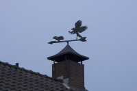 Una veleta sobre un tejadoA vane over a rooftop