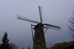 Highlight for Album: Luyksgestel
