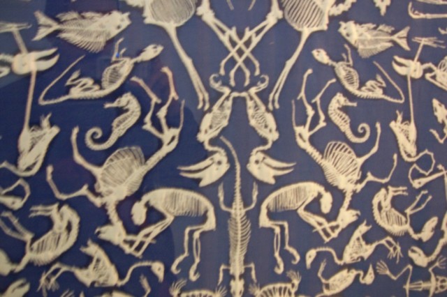 Un tapete en el museo de GroningenA tapestry at the museum of Groningen