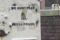 �Queremos Arvejas (Peas ~ Peace)!�We Want Peas!
