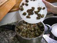 En casa de A. hab�an Caracoles, una tradici�n en Lleida ...In A.�s place there were Snails, a tradition in Lleida ...