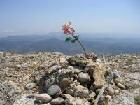 Highlight for Album: Senderismo en Montsant // Hiking in Montsant