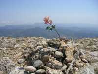 Una vista inusual que otros viajeros hab�an creadoAn unusual view created by other travellers