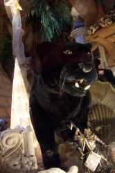 Pantera de juguete ...Toy panther ...