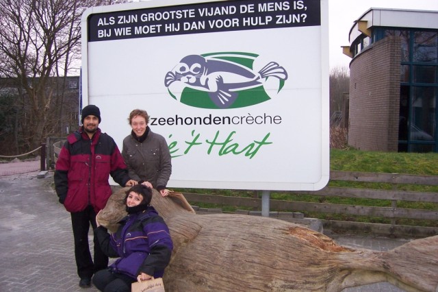 El Centro Lenie t'Hart de Pieterburen para FocasThe Lenie t'Hart Centrum for Seals in Pieterburen
