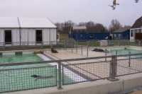 El centro funciona como un hospital y un refugio; las focas est�n en distintas piscinas de acuerdo a su estado de saludThe center works as a hospital and a shelter; the seals are in different ponds according to their health status