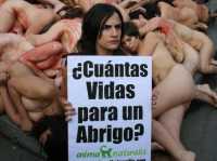 L. encabezando la manifestaci�nL. leading the demonstration

Fuente: AnimaNaturalis