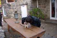 ... en cualquier parte ...... anywhere ...
