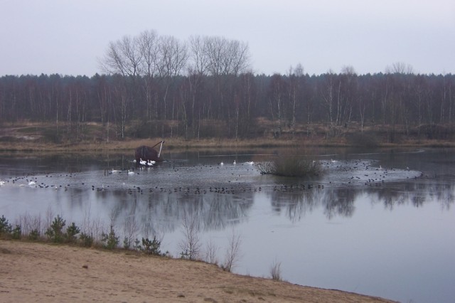 El "Sahara" de LommelThe "Sahara" near Lommel
