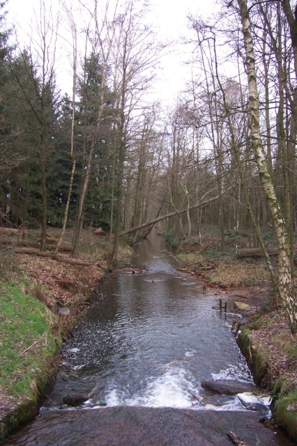 R�oRiver