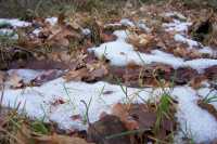 Uno de los d�as que hizo m�s fr�o nos aventuramos nuevamente en el bosqueOne of the coldest days we entered again in the woods