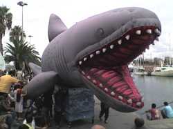 Un tibur�n invade el puertoA shark invades the portside