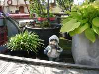 Somos bienvenidos por el capit�nWe are welcomed by the captain